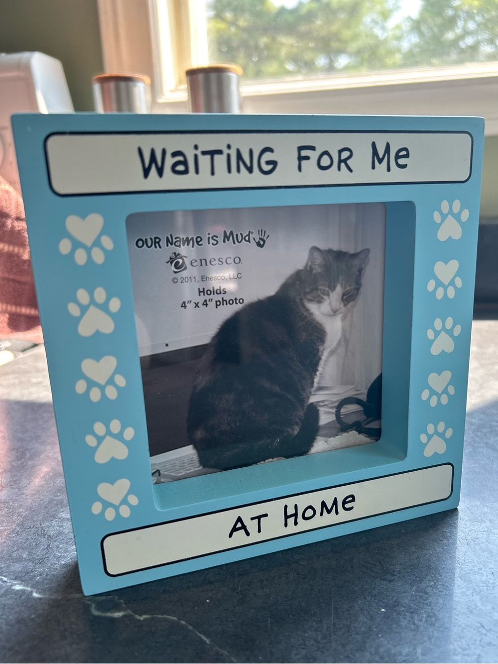 Cat photo frame “waiting for me at home”